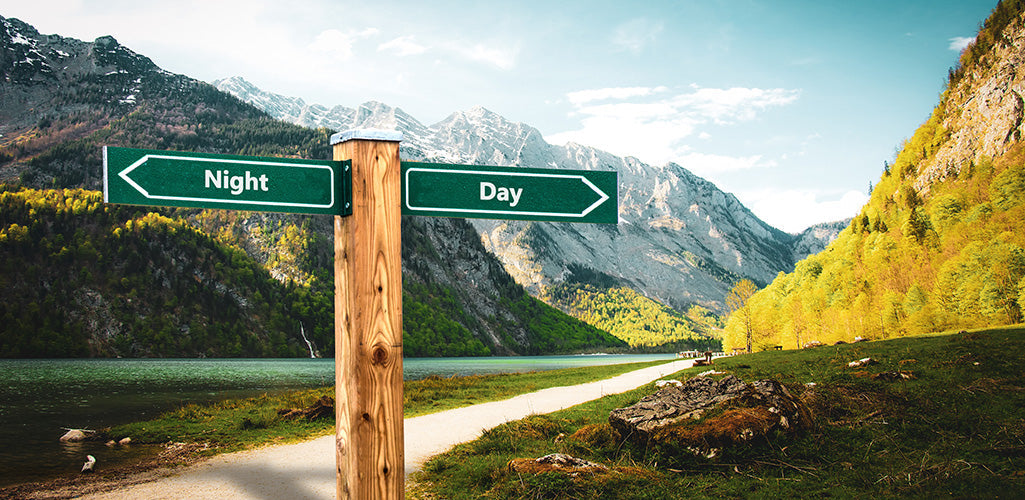 Morgen- vs. Abendmensch