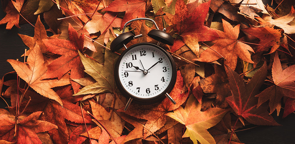 Zeitumstellung: Von Sommerzeit zu Winterzeit