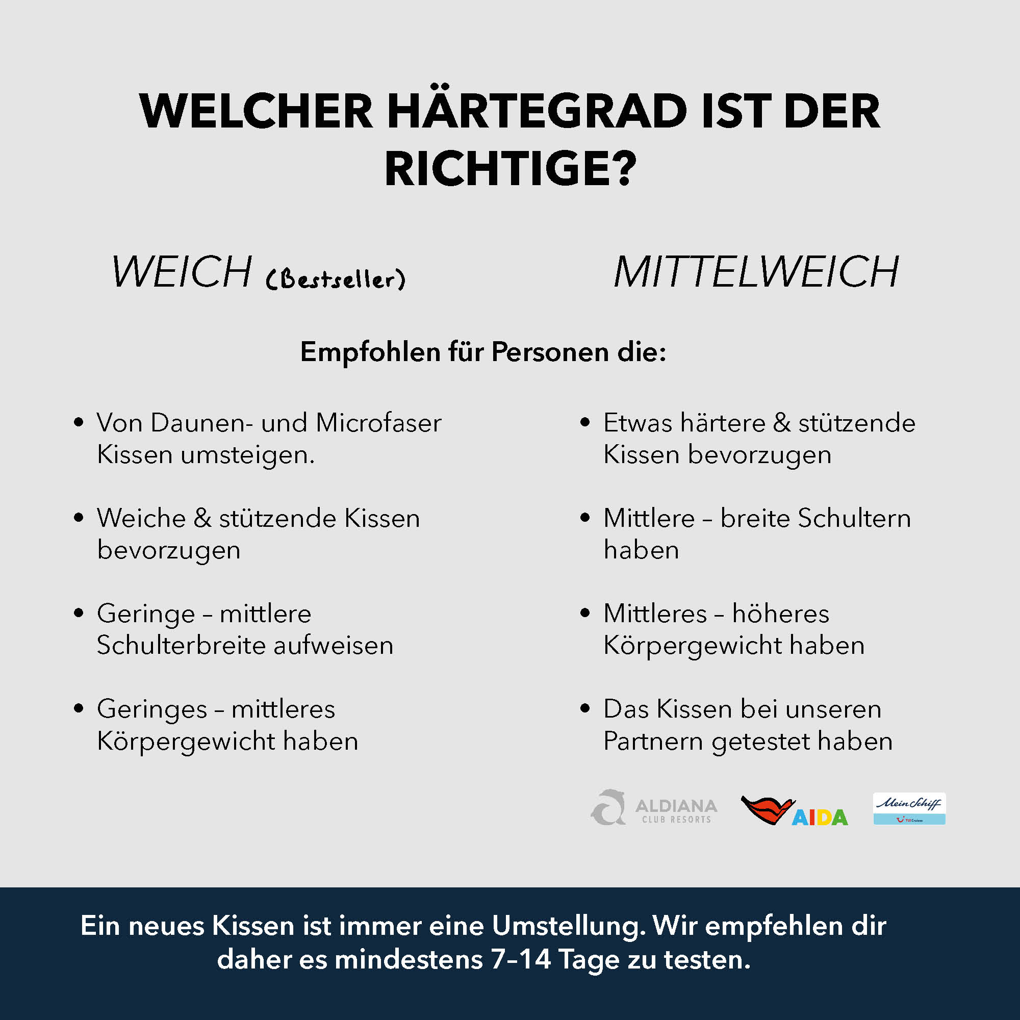 RÉCUPÉRATION LIMITÉE <tc>BUNDLE</tc> (1 oreiller + 2 housses)